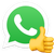 Logo: the WhatsApp logo and a thumbs up emoji next to it